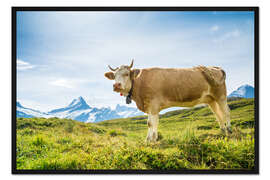 Gerahmter Kunstdruck Schweizer Kuh mit Schreckhorn in den Berner Alpen