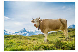 Foam board print Swiss cow with Schreckhorn in the Bernese Alps