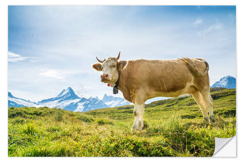 Sticker mural Vache suisse avec Schreckhorn dans les Alpes bernoises