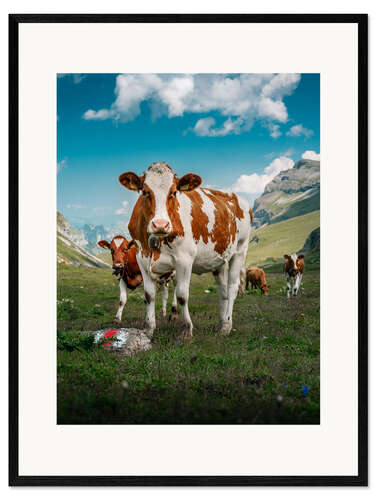 Impresión de arte enmarcada Retrato de un rebaño de vacas en los Alpes suizos