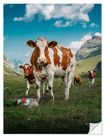 Sticker mural Portrait d'un troupeau de vaches dans les Alpes suisses