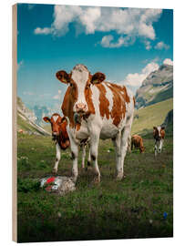 Wood print  Portrait of a herd of cows in the Swiss Alps - Marcel Gross