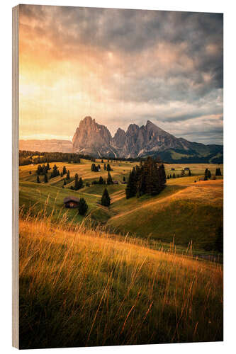 Puutaulu Morgenrot Alpe di Siusi, Dolomiten