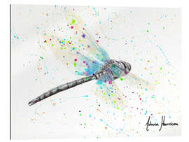 Gallery print Melaleuca Dragonfly