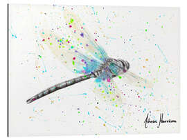 Magnettafel Melaleuca Libelle