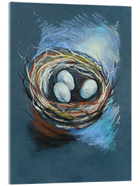 Acrylic print Bird nest