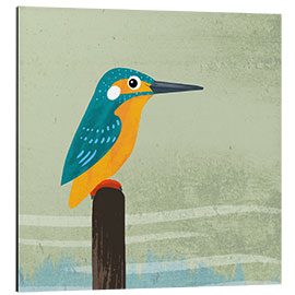 Aluminium print Kingfisher