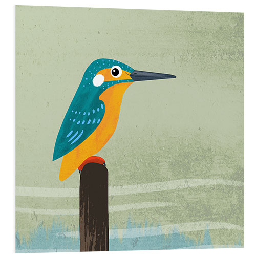 Foam board print Kingfisher