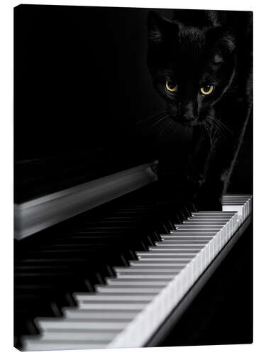 Canvas print Black cat on a piano