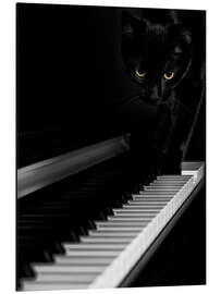 Magnettafel Schwarze Katze auf einem Klavier