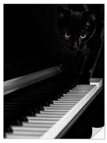 Wall sticker Black cat on a piano
