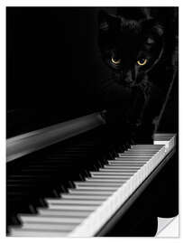 Selvklebende plakat Black cat on a piano