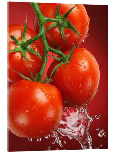 Acrylic print Fresh ripe tomatoes