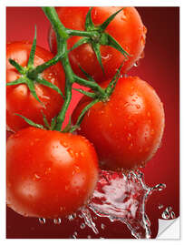 Selvklebende plakat Fresh ripe tomatoes