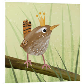 Magnettafel Zaunkönig