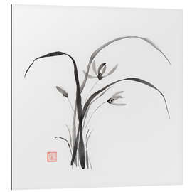 Tableau en aluminium Fleurs d'orchidées sauvages