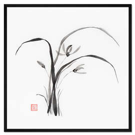 Gerahmter Kunstdruck Wilde Orchideenblüten