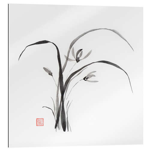 Tableau en plexi-alu Fleurs d'orchidées sauvages