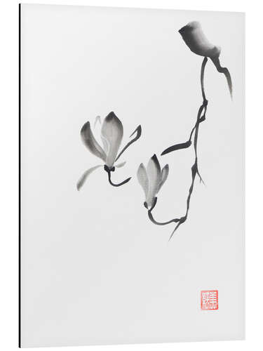 Tableau en aluminium Branche de magnolia avec deux fleurs