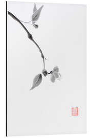 Aluminium print Sakura branch with a delicate flower