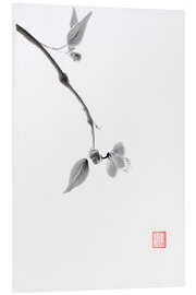 PVC-taulu Sakura branch with a delicate flower