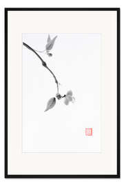 Gerahmter Kunstdruck Sakura-Zweig mit einer zarten Blüte
