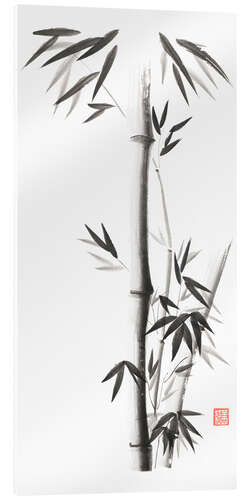 Acrylic print Bamboo