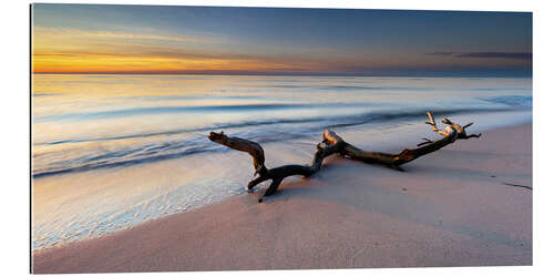 Gallery print Sandy beach at sunset