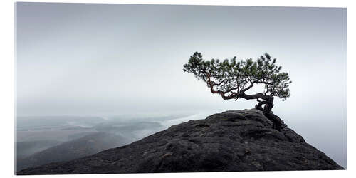 Acrylic print Lilienstein in Saxon Switzerland