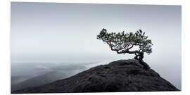 Print på skumplade Lilienstein in Saxon Switzerland