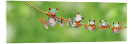 Akryylilasitaulu  Funny frogs on a branch - Artur Cupak
