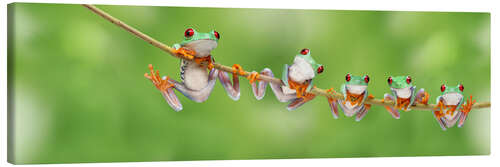 Canvas print Funny frogs on a branch