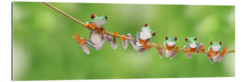 Galleriprint Funny frogs on a branch