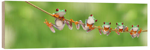 Tableau en bois Grenouilles drôles sur une branche