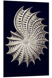 Magnettafel Thalamophora