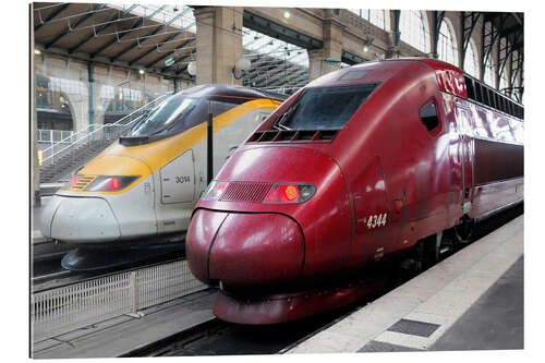 Galleriprint TGV, Gare du Nord, Paris