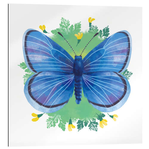 Gallery print Endangered wildlife: palos verdes blue butterfly