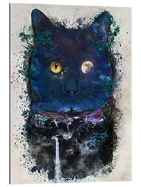 Gallery print Nightcat