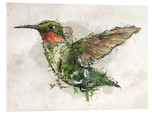 Akryylilasitaulu Hummingbird