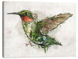 Canvas-taulu  Hummingbird - Barrett Biggers