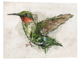 Foam board print Hummingbird