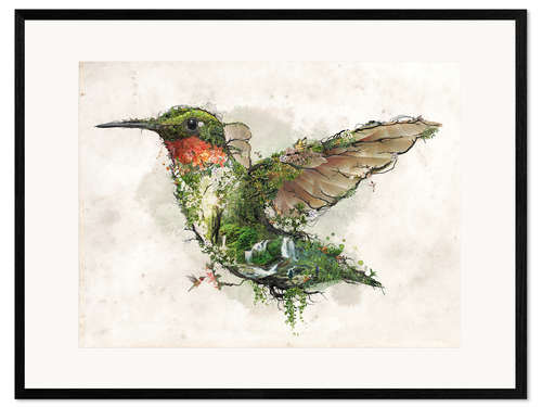 Kunsttryk i ramme Hummingbird