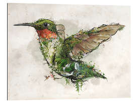 Galleritryk Hummingbird