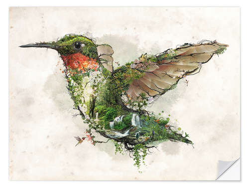 Selvklebende plakat Hummingbird