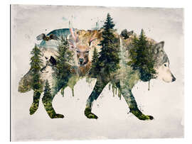 Quadro em plexi-alumínio Walk with wolves