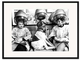 Gerahmter Kunstdruck Hund mit Lockenwicklern beim Friseur