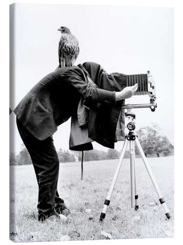 Canvas print Photographer with buzzard