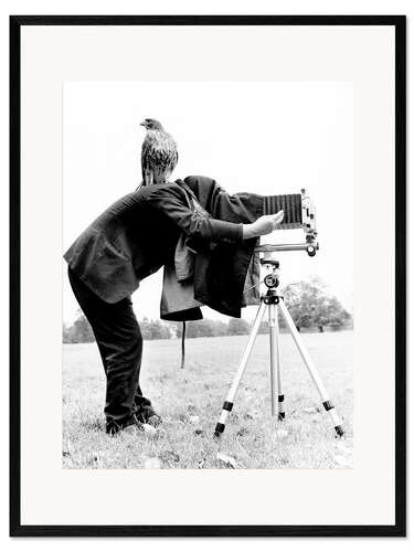 Framed art print Photographer with buzzard