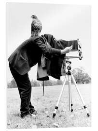 Stampa su plexi-alluminio Photographer with buzzard