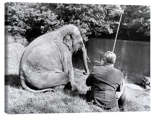 Canvas print Fishing with elephant in the afternoon